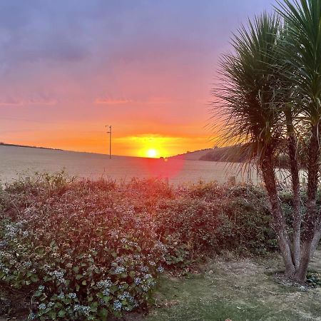 Westerley Country B & B With Exclusive Guest Lounge Buckfastleigh Bagian luar foto