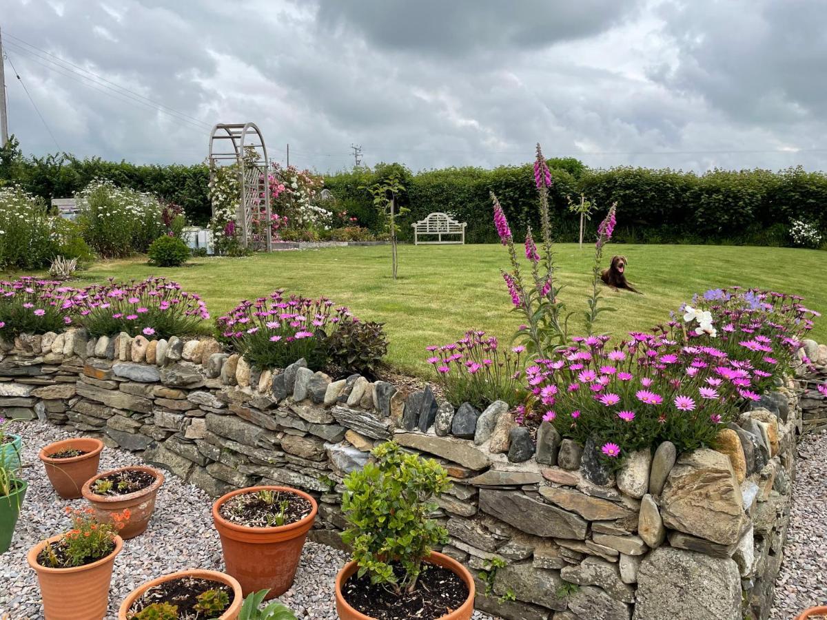 Westerley Country B & B With Exclusive Guest Lounge Buckfastleigh Bagian luar foto