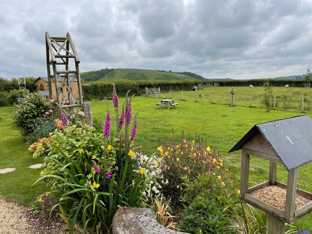 Westerley Country B & B With Exclusive Guest Lounge Buckfastleigh Bagian luar foto
