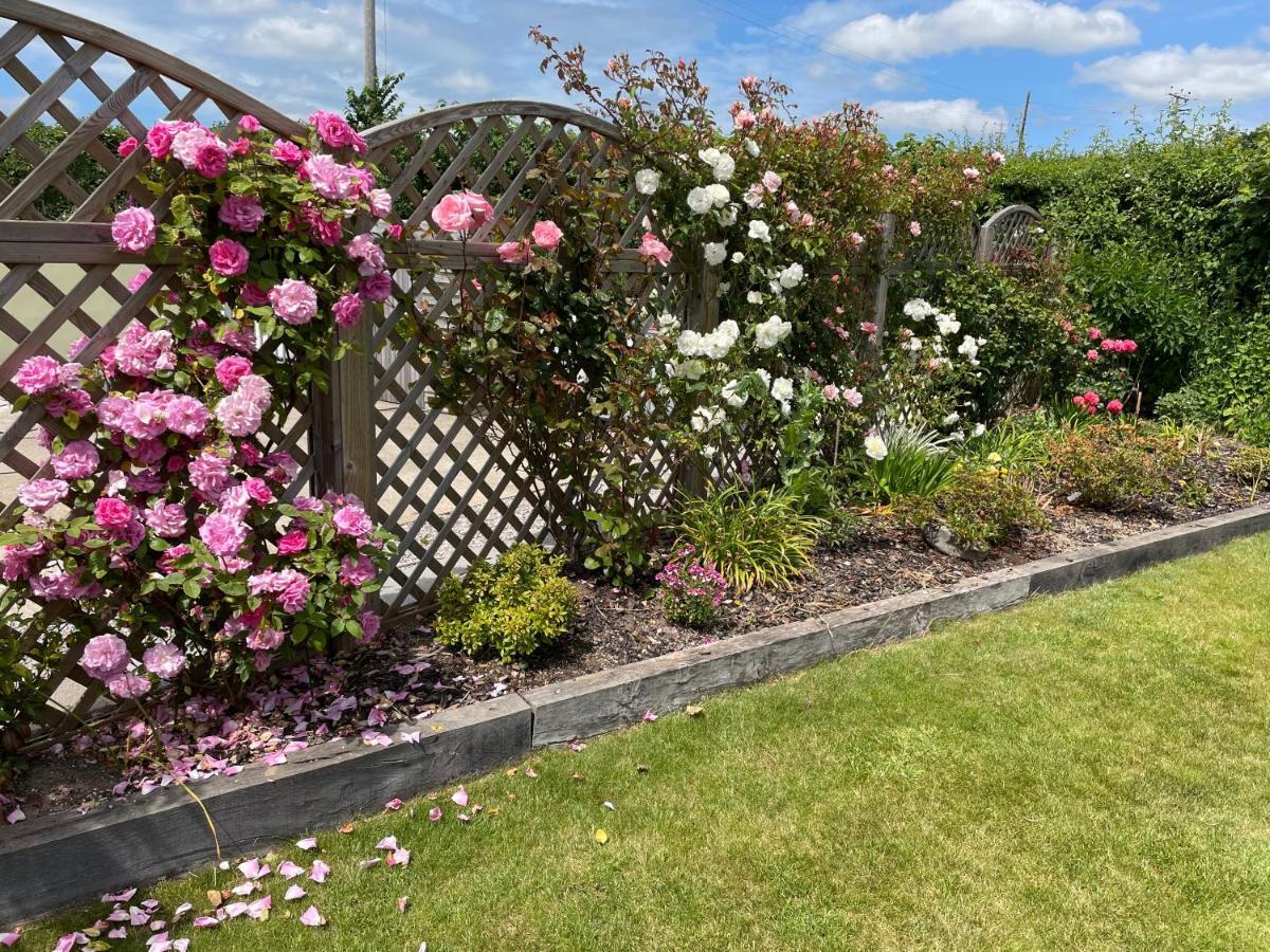 Westerley Country B & B With Exclusive Guest Lounge Buckfastleigh Bagian luar foto