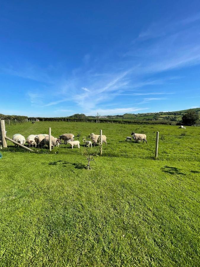 Westerley Country B & B With Exclusive Guest Lounge Buckfastleigh Bagian luar foto