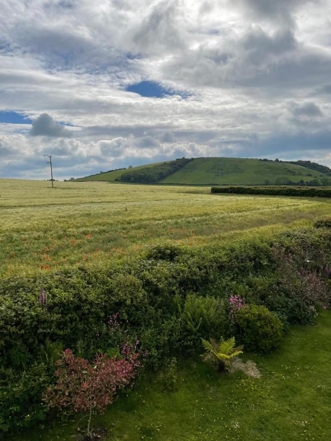 Westerley Country B & B With Exclusive Guest Lounge Buckfastleigh Bagian luar foto