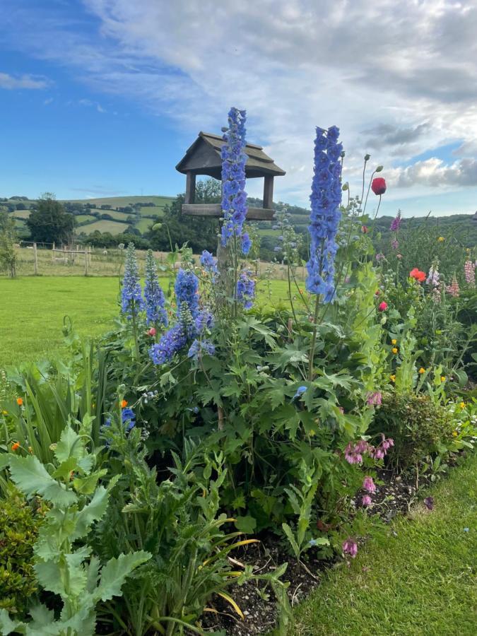 Westerley Country B & B With Exclusive Guest Lounge Buckfastleigh Bagian luar foto