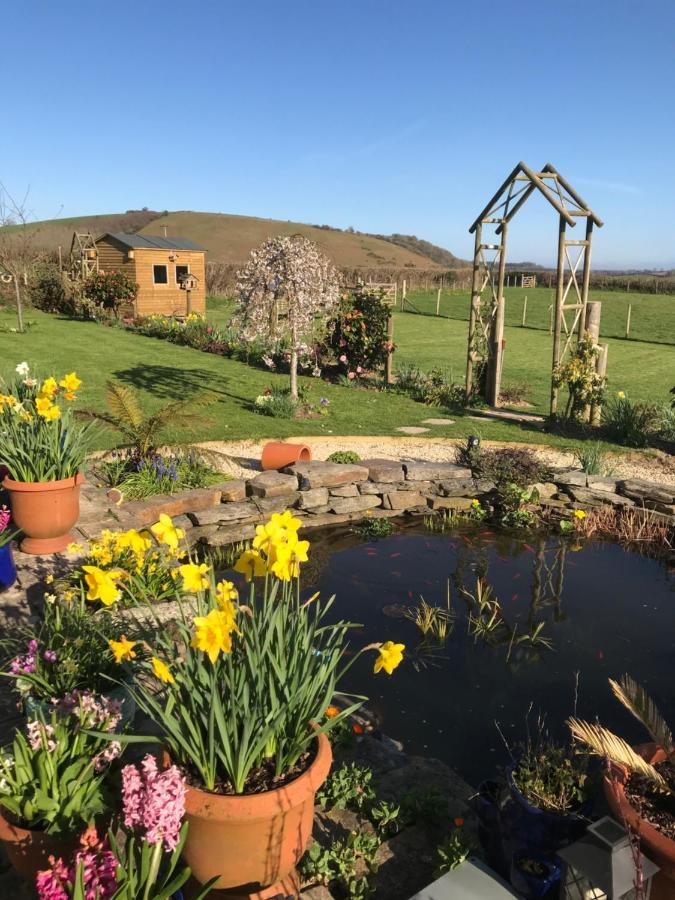 Westerley Country B & B With Exclusive Guest Lounge Buckfastleigh Bagian luar foto