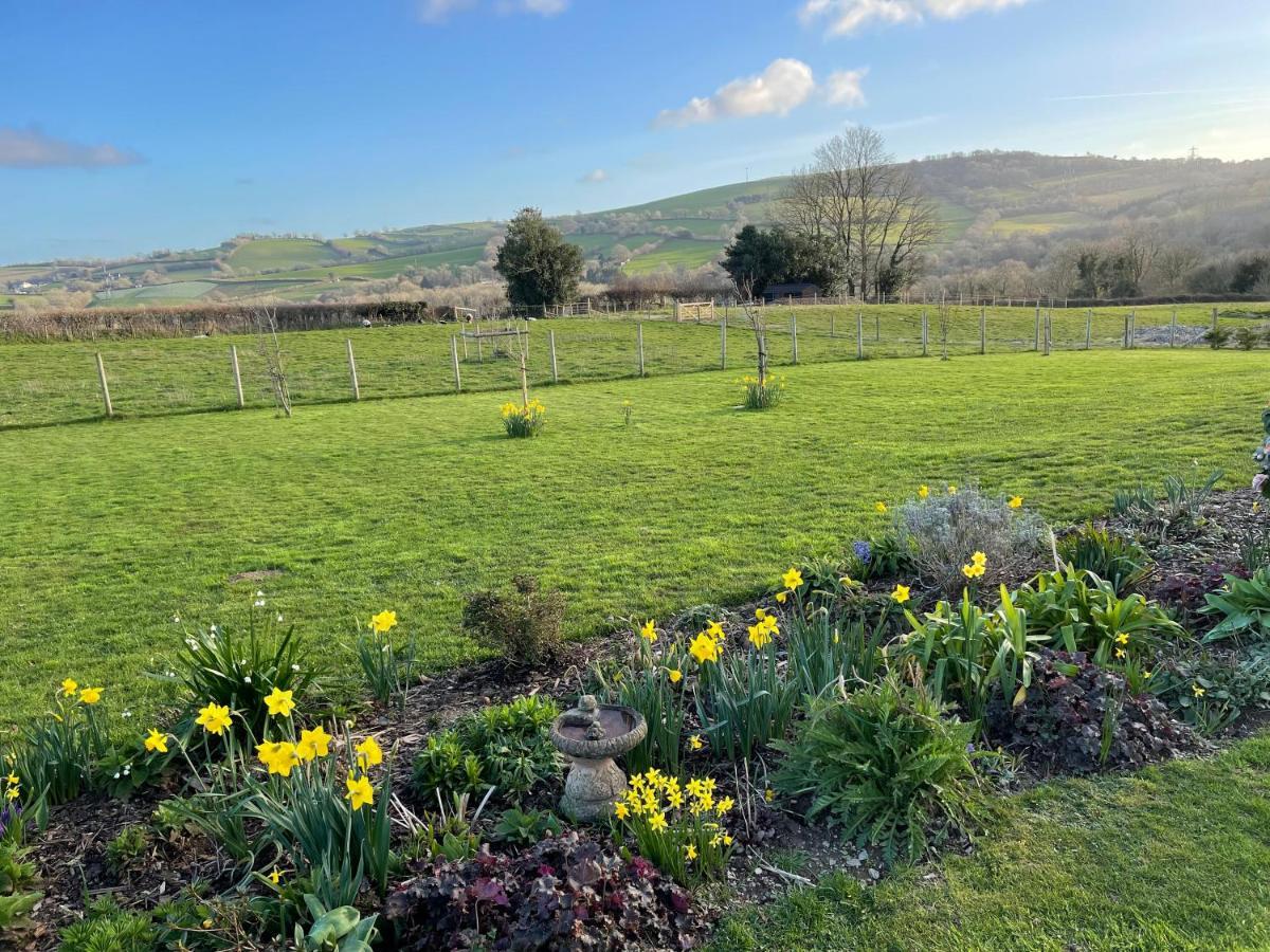 Westerley Country B & B With Exclusive Guest Lounge Buckfastleigh Bagian luar foto