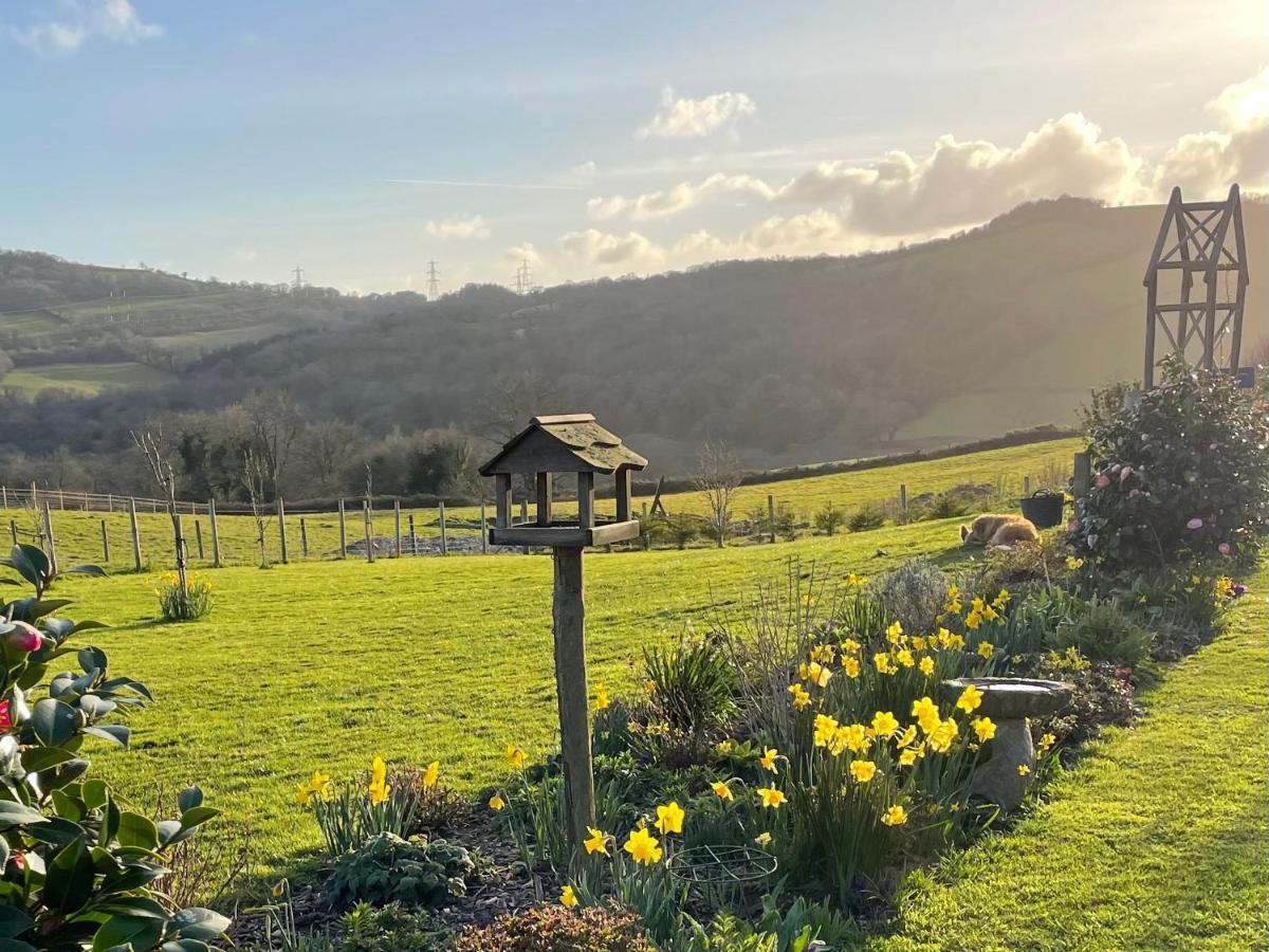 Westerley Country B & B With Exclusive Guest Lounge Buckfastleigh Bagian luar foto