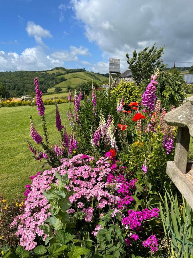 Westerley Country B & B With Exclusive Guest Lounge Buckfastleigh Bagian luar foto