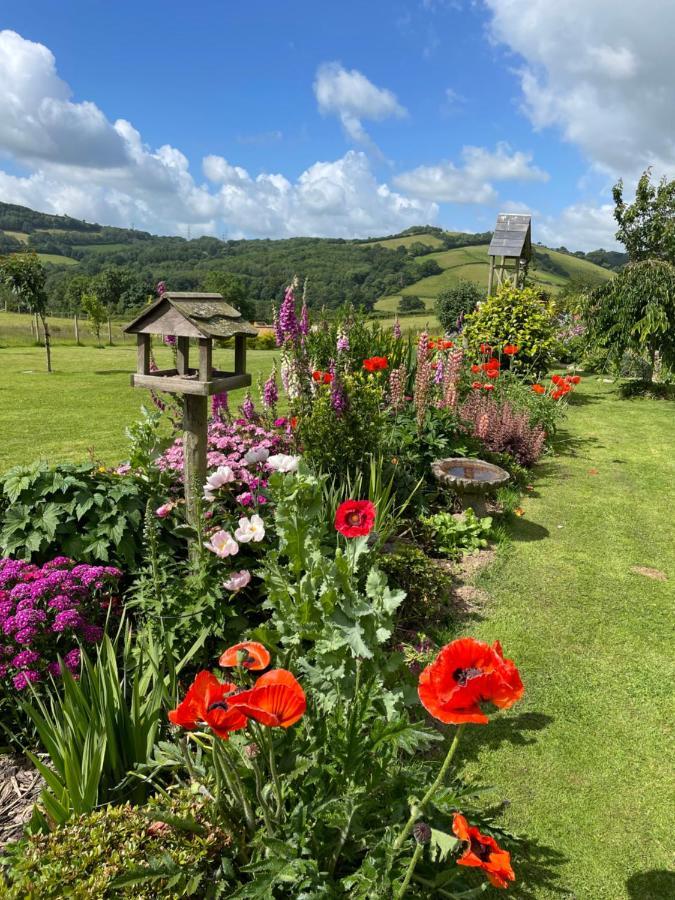 Westerley Country B & B With Exclusive Guest Lounge Buckfastleigh Bagian luar foto