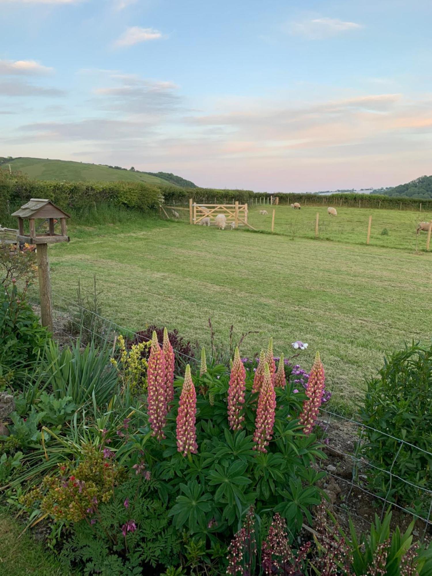 Westerley Country B & B With Exclusive Guest Lounge Buckfastleigh Bagian luar foto
