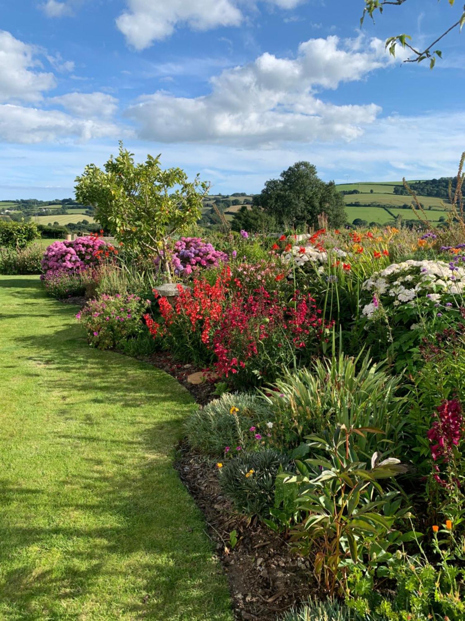 Westerley Country B & B With Exclusive Guest Lounge Buckfastleigh Bagian luar foto